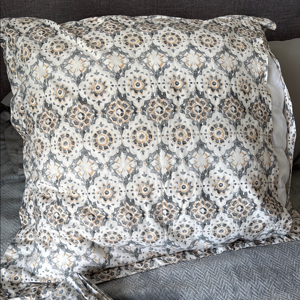 2 Pottery Barn June Print Organic Percale EURO Sham